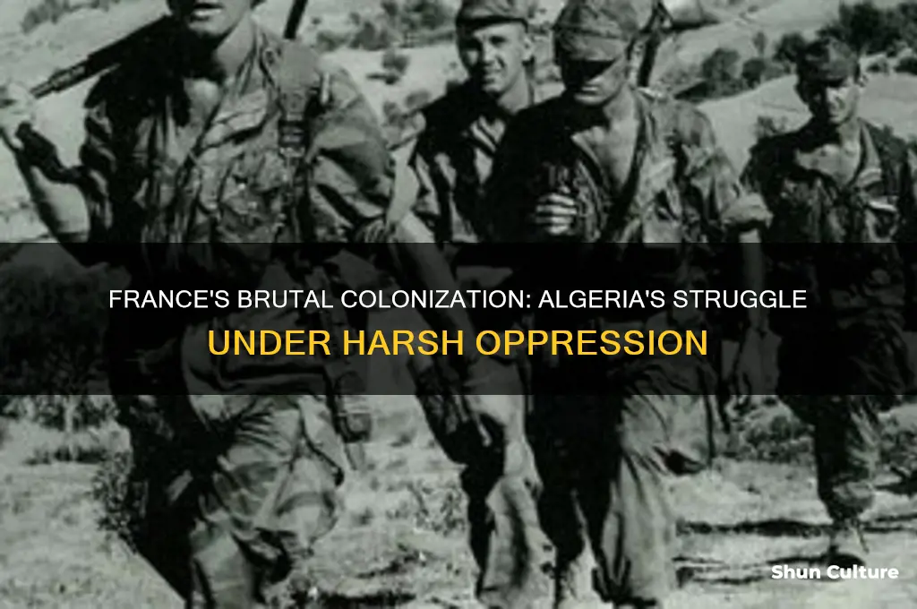what harsh conditions did the fench do to algeria