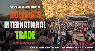 Bolivia's Trade: Negative Impacts and International Relations