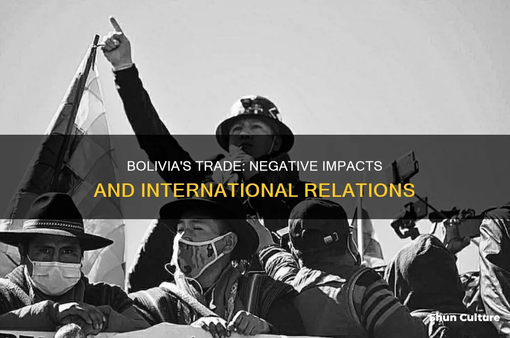 what has a negative affect on bolivia