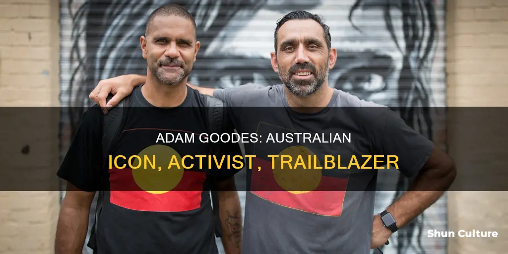 what has adam goodes done for australia