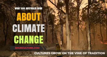 Australia's Climate Change Action: Progress and Prospects