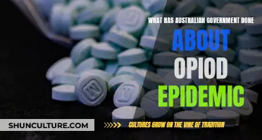Australian Government's Response to Opioid Crisis