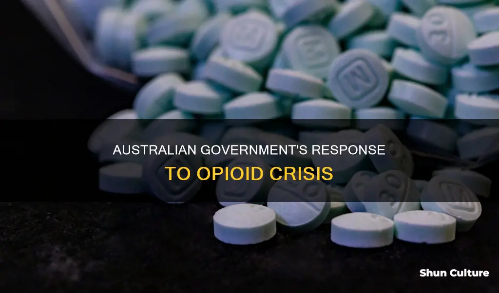 what has australian government done about opiod epidemic