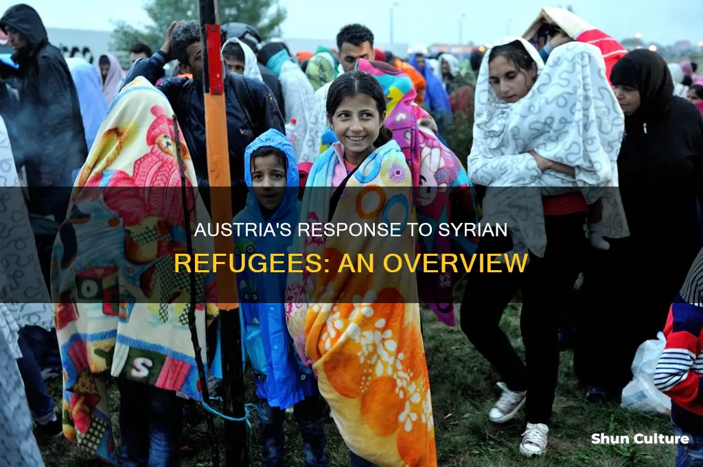 what has austria done in the syrian refugees crisis