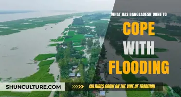 Bangladesh's Innovative Flood Resilience Strategies: Adaptation and Mitigation Efforts