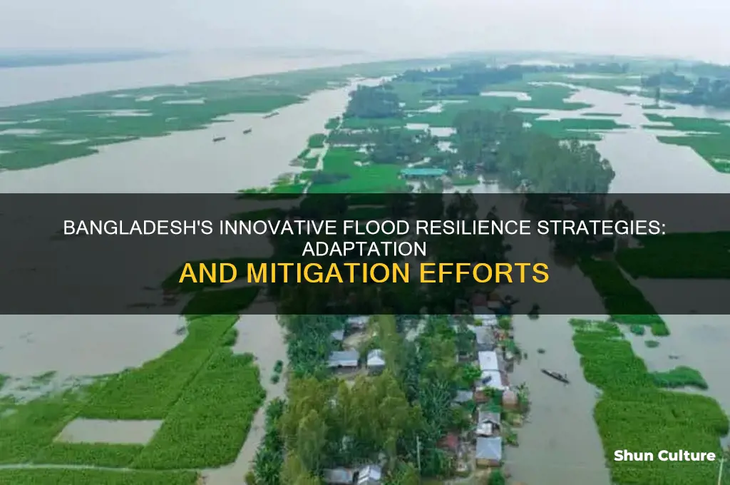 what has bangladesh done to cope with flooding