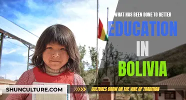 Bolivian Education Initiatives: Progress and Challenges