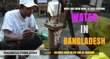 Tackling Arsenic Crisis: Bangladesh's Efforts for Safe Drinking Water Solutions