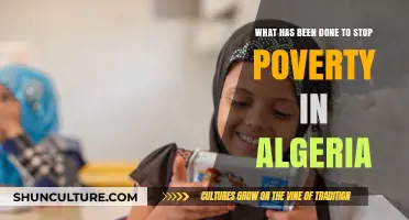Algeria's Fight Against Poverty: Initiatives, Progress, and Challenges