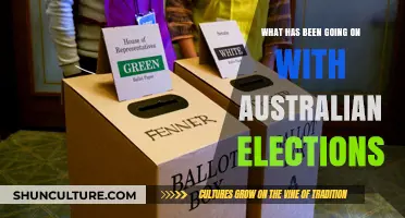 Australian Elections Unpacked: Recent Developments and Political Shifts Explained