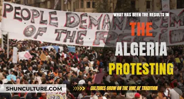 Algeria's Protests: Outcomes, Impact, and the Road Ahead