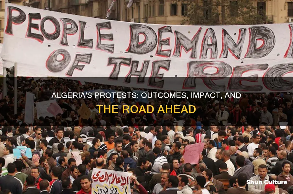 what has been the results in the algeria protesting