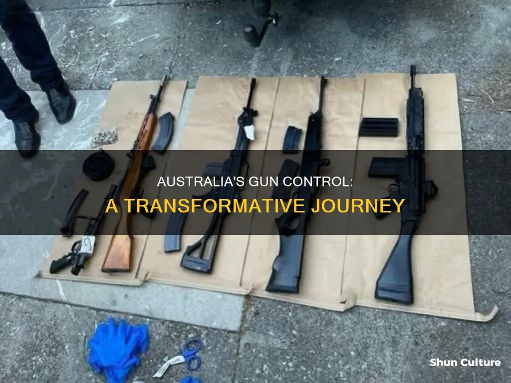 what has changed in australia guns