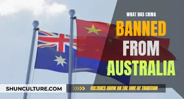 China's Bans: Australia's Trade War