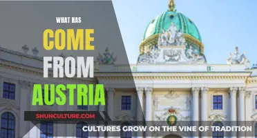 Exploring Austria's Cultural and Culinary Delights: A Journey Through Time and Taste