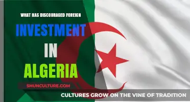 Algeria's Foreign Investment Decline: Key Factors and Economic Challenges