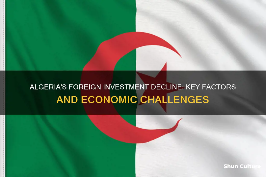 what has discouraged foreign investment in algeria