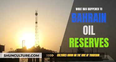 Bahrain's Oil Reserves: A Historical Perspective and Future Outlook