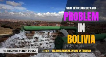 Solving Water Crisis in Bolivia: Strategies and Successes