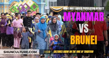 Myanmar vs Brunei: Who Has the Higher Population Density?