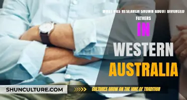 Divorced Fathers in Western Australia: Research Insights
