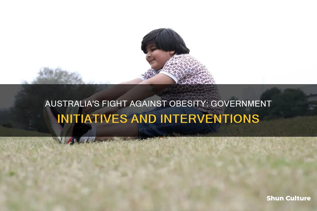 what has the australian government done to prevent obesity