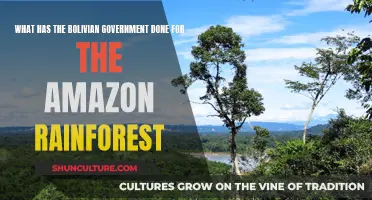 Bolivian Government's Efforts to Protect the Amazon Rainforest