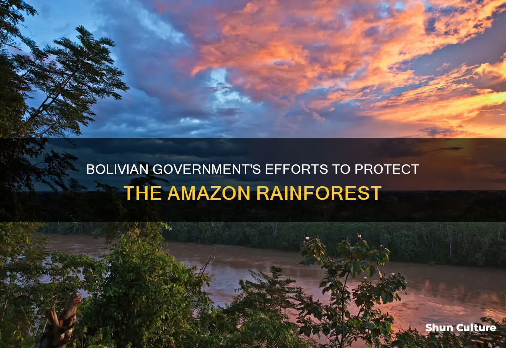 what has the bolivian government done for the amazon rainforest