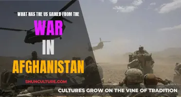 The Human Toll of America's Longest War: Reflecting on Two Decades in Afghanistan