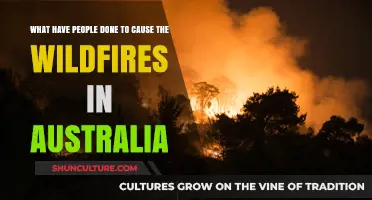 Human Actions Behind Australia's Wildfires