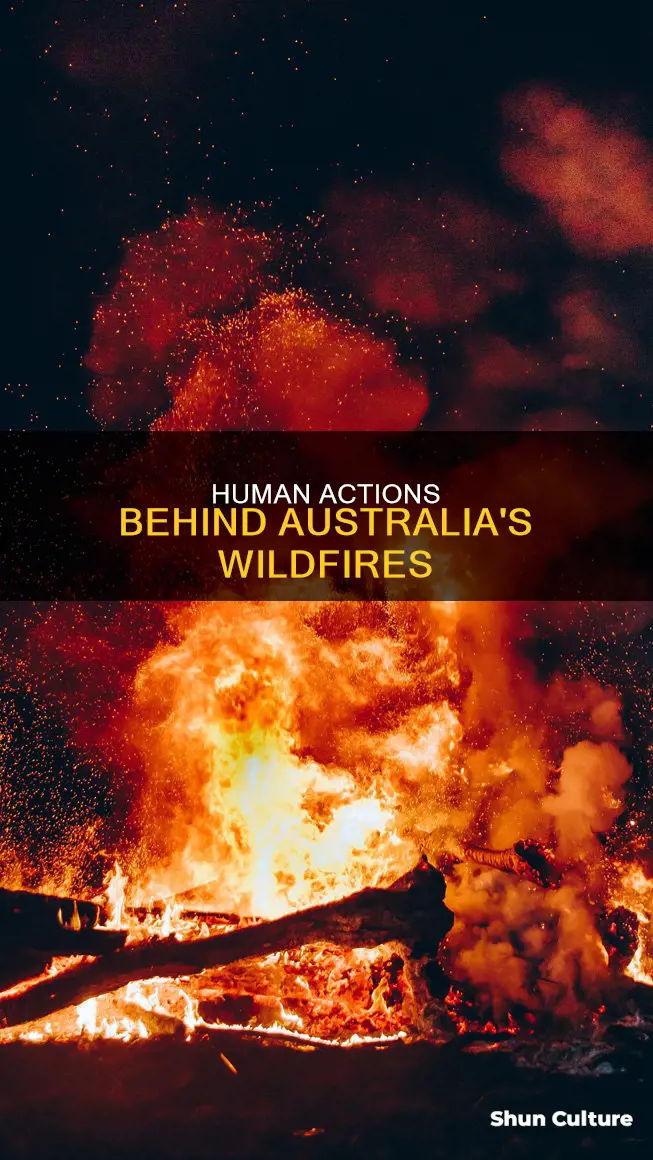 what have people done to cause the wildfires in australia