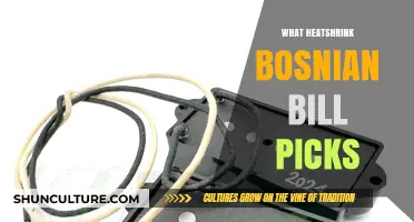 Heatshrink Bosnian Bill Picks: Top Choices for Lockpicking Enthusiasts