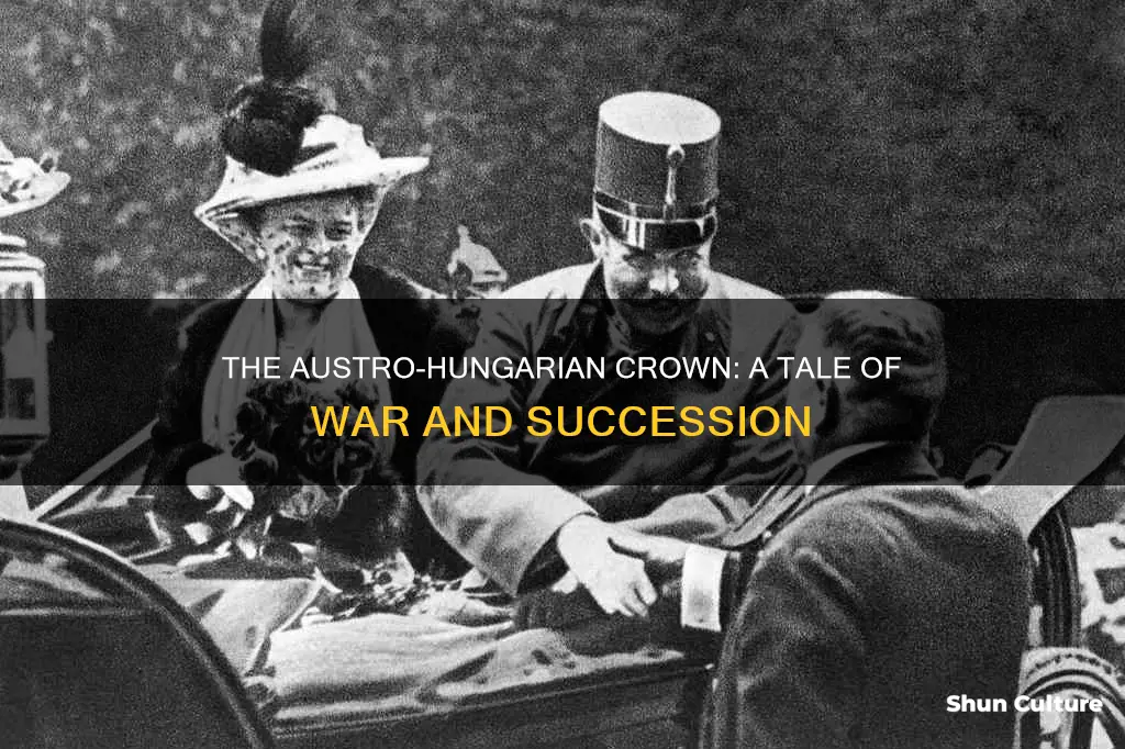 what heir to the austro hungarian throne of austria-hungary ww1