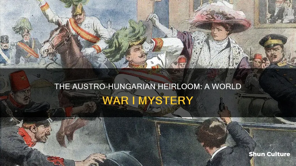 what heir to the austro hungarian throne of austria-hungary ww1
