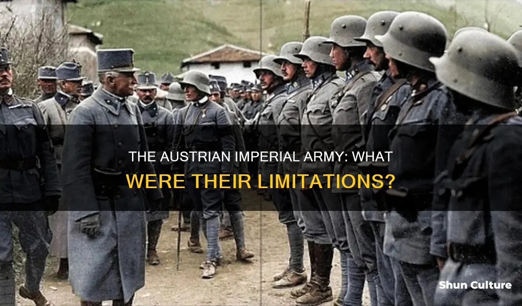 what held the austrian imperial army back