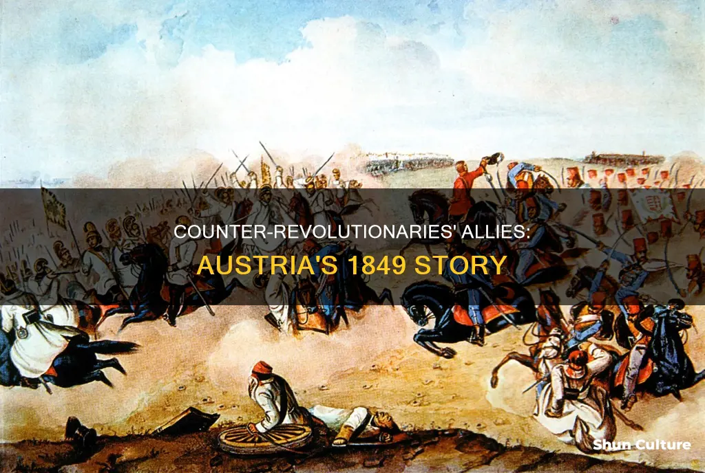 what helped counter revolutionaries in austria 1849