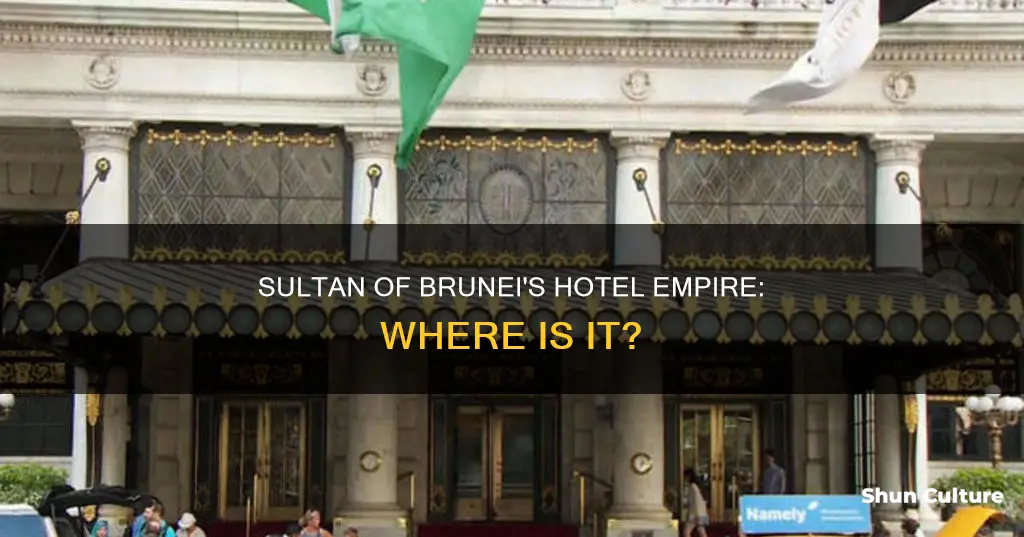 what holels does the sultan of brunei own