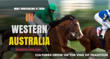 Discover Western Australia's Thrilling Horse Racing Scene