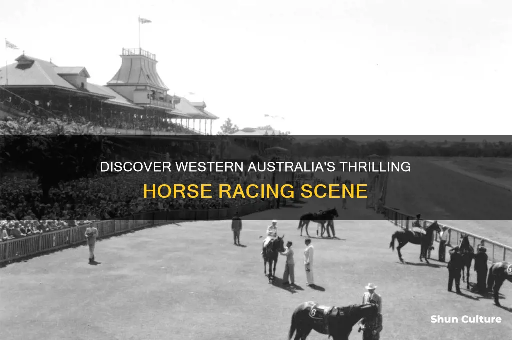 what horseracing is there in western australia