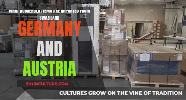 Exploring Global Connections: Swaziland, Germany, and Austria's Household Imports