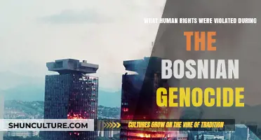 Bosnian Genocide: Human Rights Violations and International Inaction