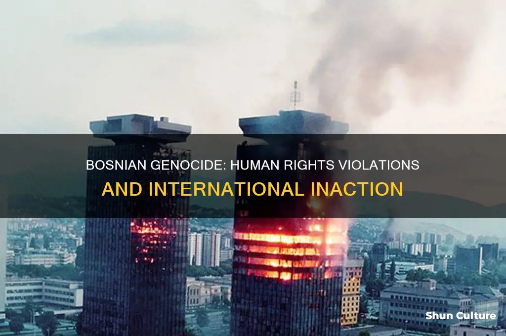 what human rights were violated during the bosnian genocide