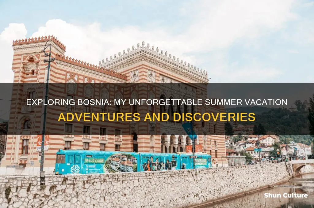 what I did on my summer vacation bosnia