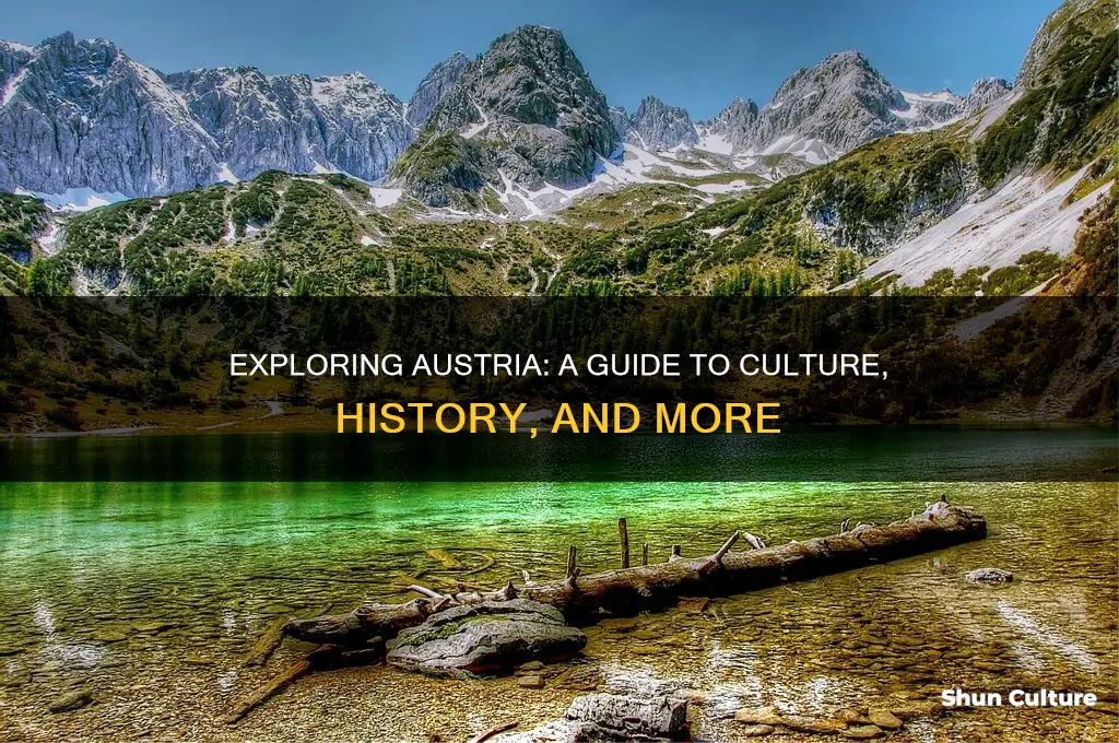 what I need to know about austria