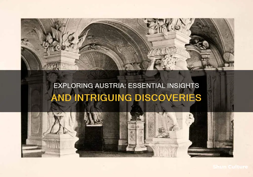 what I need to know about austria