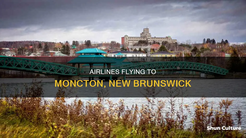 what iarlines fly to moncton new brunswick