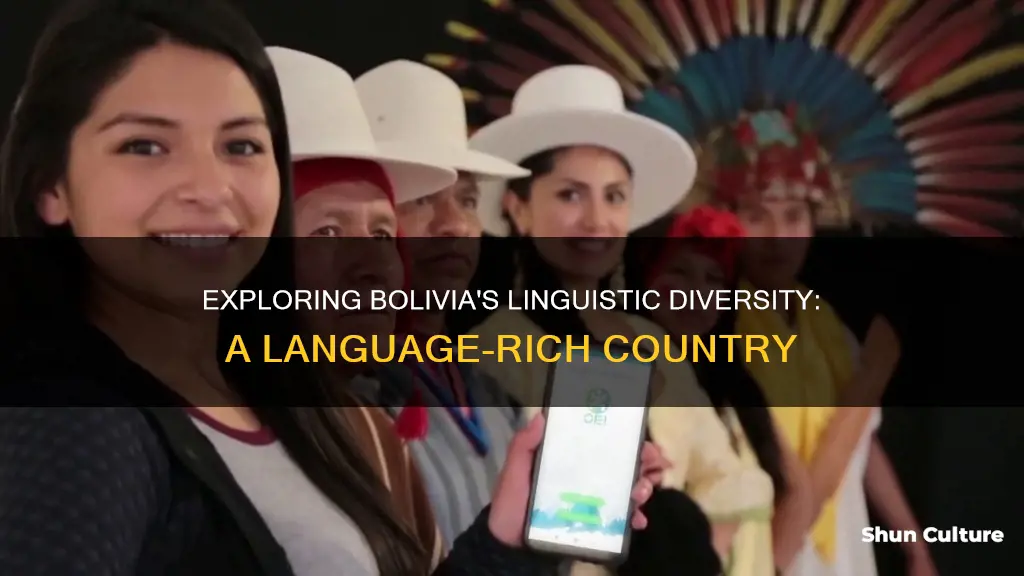 what idiomas does bolivia have