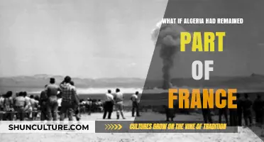 What If Algeria Stayed French? Exploring an Alternate History