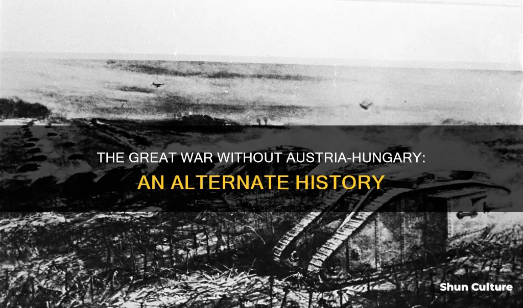 what if austria-hungary withdrew from the war circa 1917