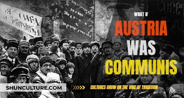 A Country Transformed: Austria's Communist Revolution